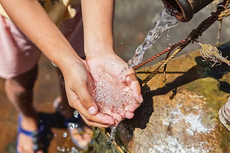 Better Water Delivery and Sustainability Through Beekeeping